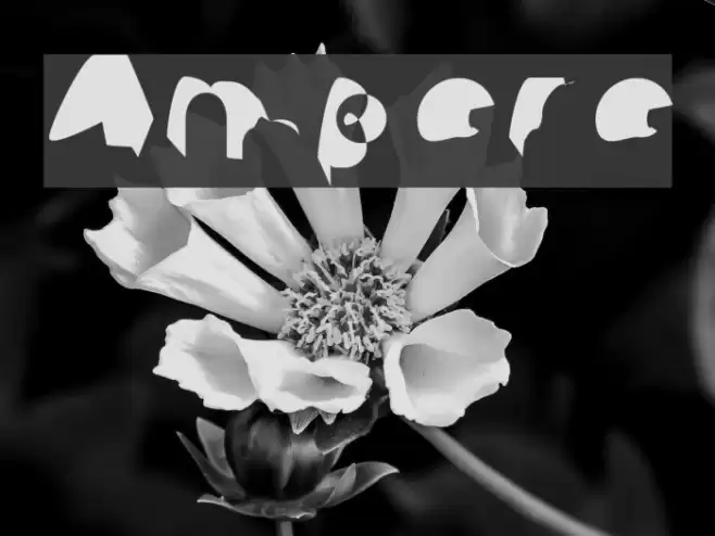 Ampere Font examples