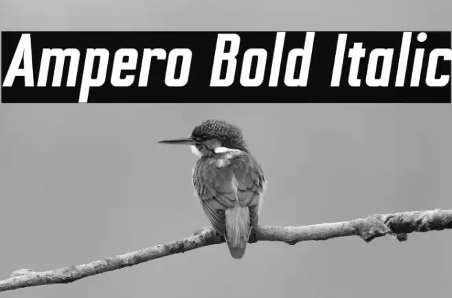 Ampero Bold Italic Font examples