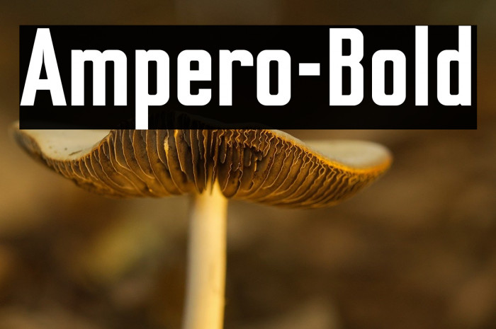Ampero-Bold Example 2