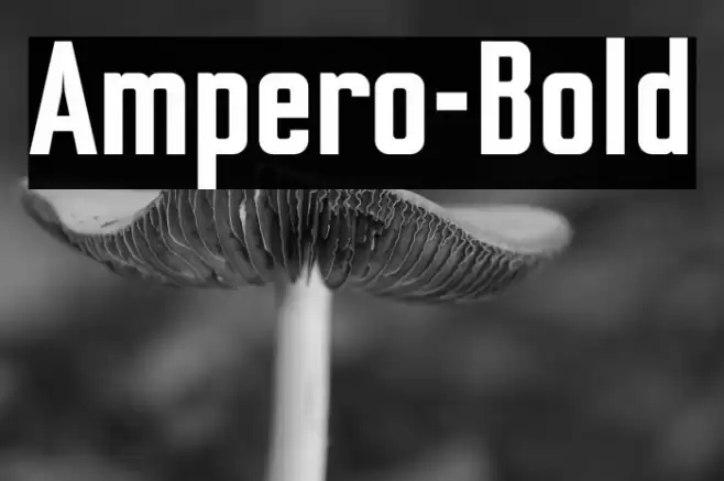 Ampero-Bold Font examples