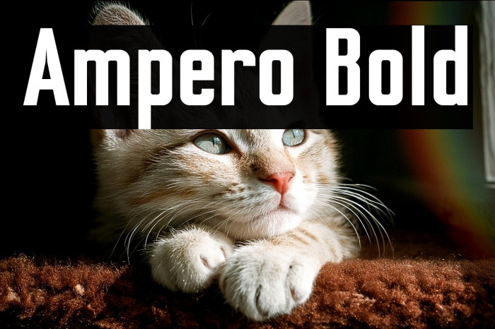 Ampero Bold Example 1