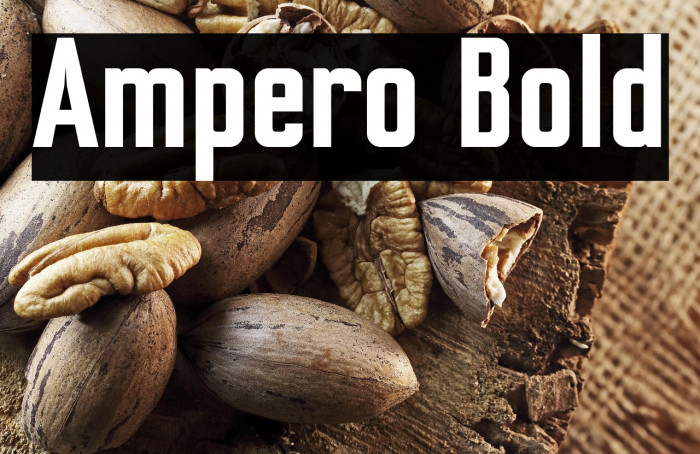 Ampero Bold Example 2