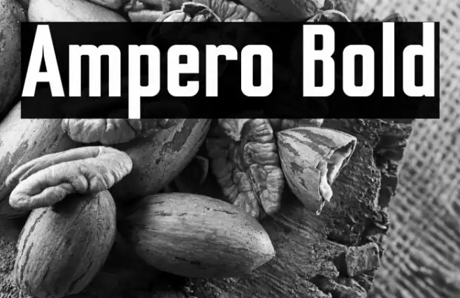 Ampero Bold Font examples