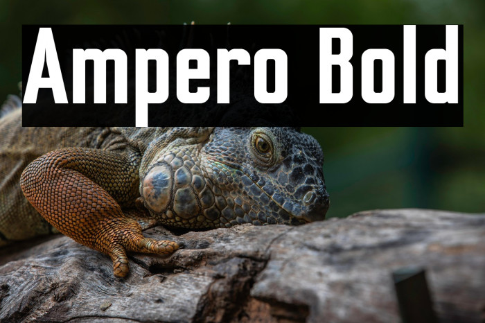 Ampero Bold Example 3