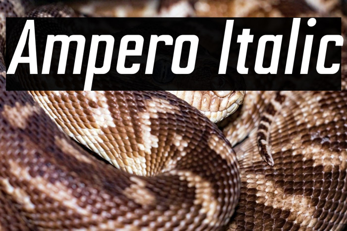 Ampero Italic Example 1