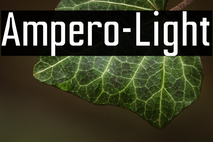 Ampero-Light Example 1