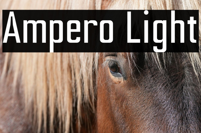 Ampero Light Example 1