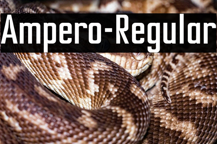 Ampero-Regular Example 1