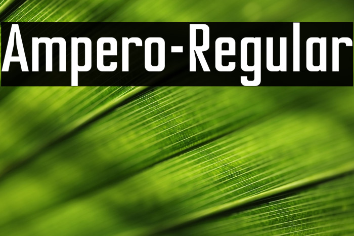 Ampero-Regular Example 3