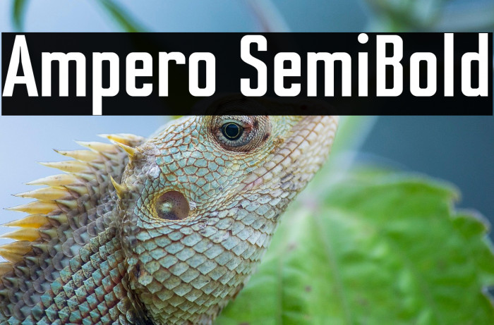 Ampero SemiBold Example 1
