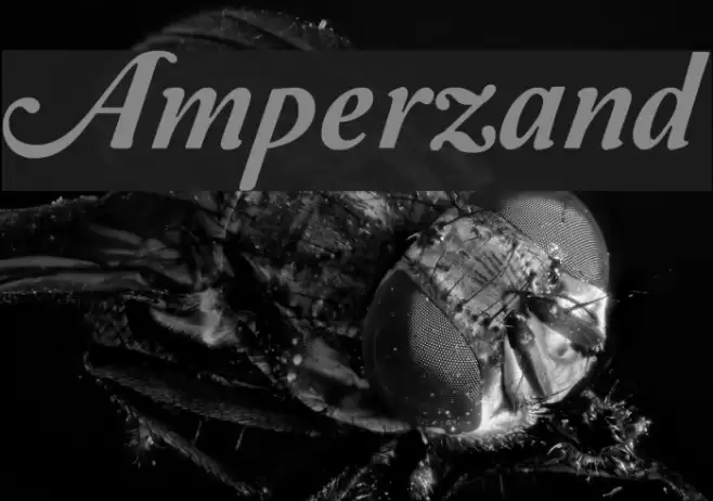 Amperzand Font examples