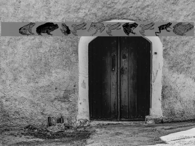 AmphibiPrint خط examples