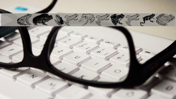 AmphibiPrint لخطوط تنزيل examples