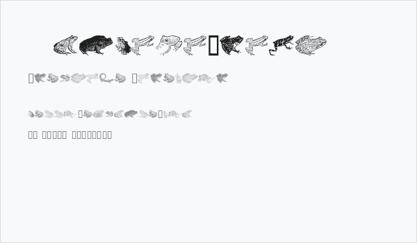 AmphibiPrint Business Card