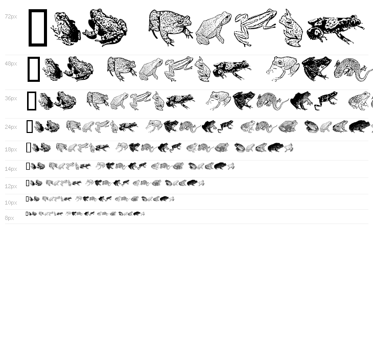 AmphibiPrint Waterfall