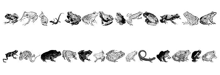 AmphibiPrint لخطوط تنزيل صغيرة