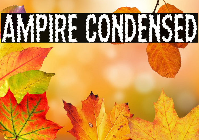 Ampire Condensed Example 2