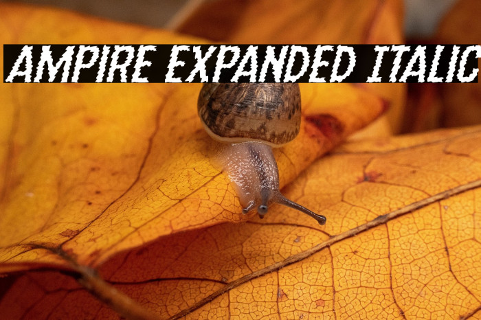 Ampire Expanded Italic Example 1