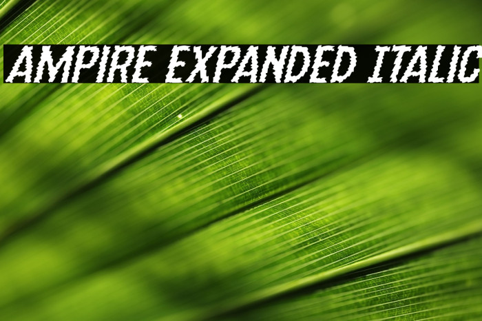 Ampire Expanded Italic Example 2