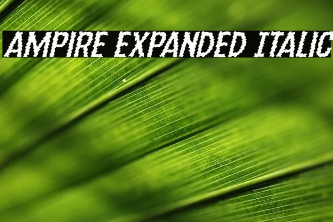 Ampire Expanded Italic Example 2