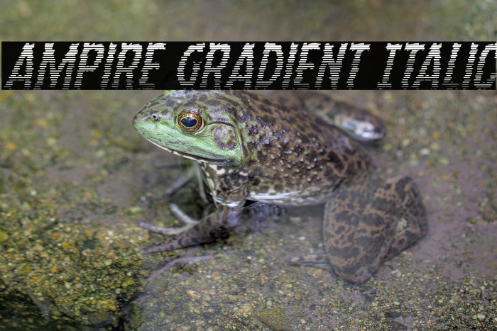 Ampire Gradient Italic Example 2