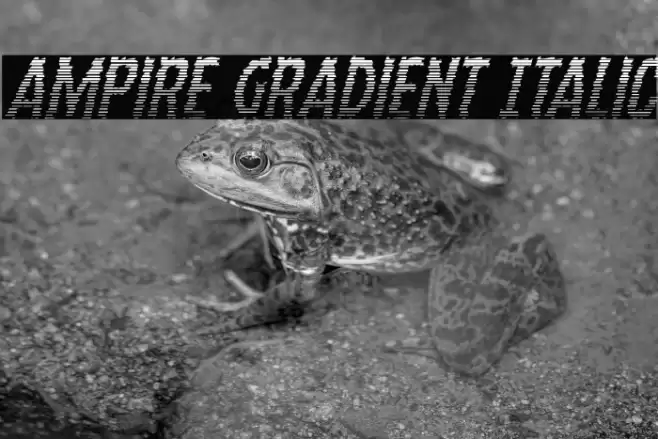 Ampire Gradient Italic Font examples