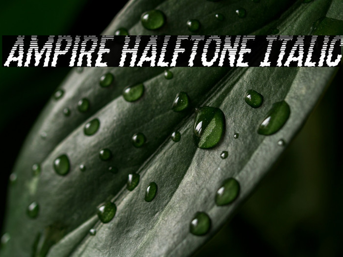 Ampire Halftone Italic Example 2