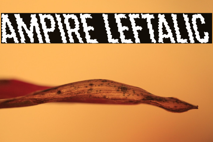 Ampire Leftalic Example 1