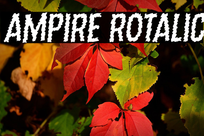 Ampire Rotalic Example 1