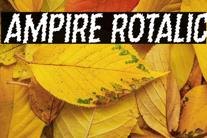 Ampire Rotalic Example 2