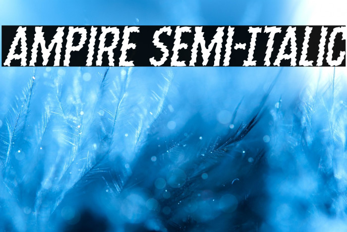 Ampire Semi-Italic Example 2