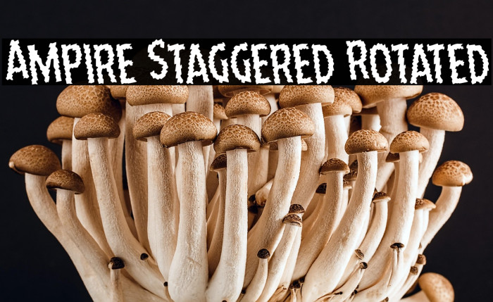 Ampire Staggered Rotated Example 2