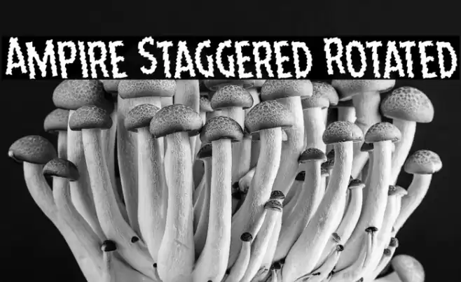 Ampire Staggered Rotated Font examples