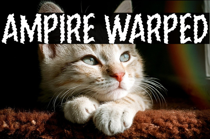 Ampire Warped Example 2