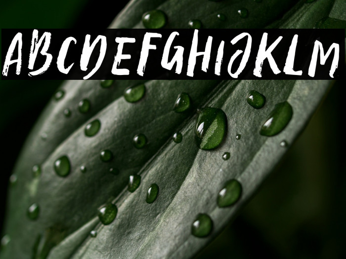 Ample Script Regular Example 1