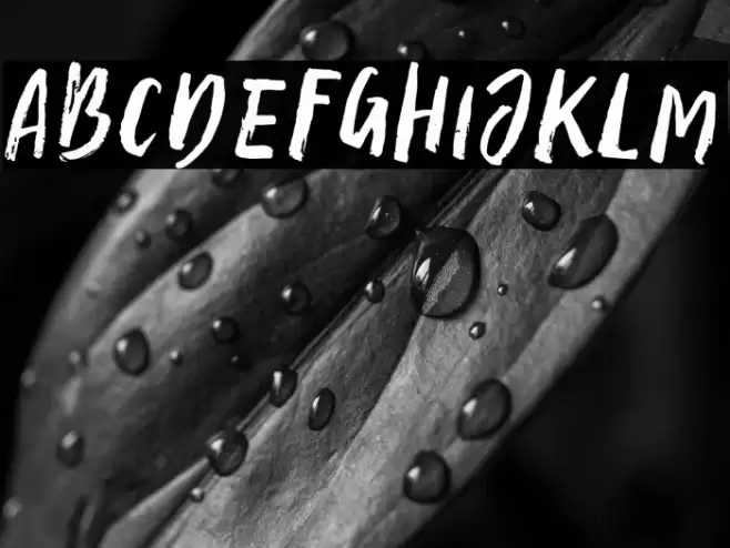 Ample Script Regular Font examples