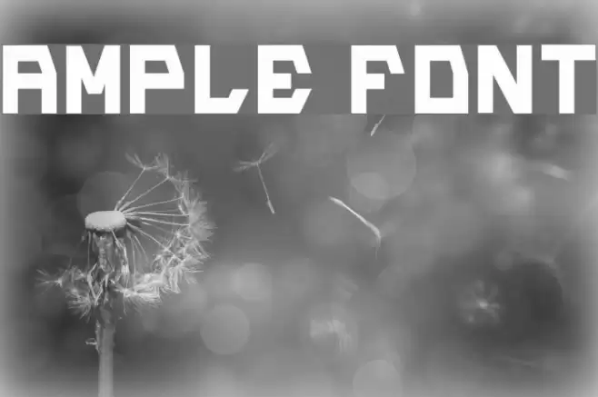 Ample Font examples
