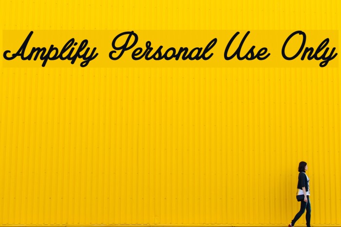 Amplify Personal Use Only Font examples