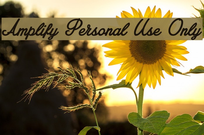 Amplify Personal Use Only Font examples