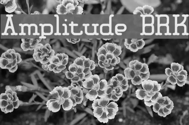 Amplitude BRK Font examples