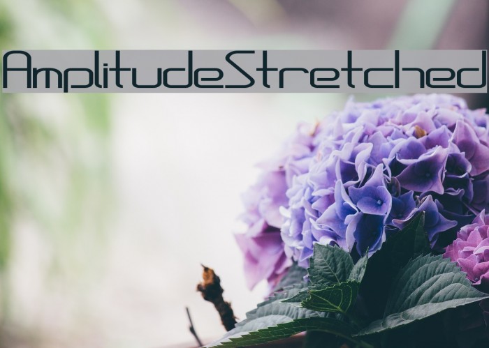 AmplitudeStretched Font examples