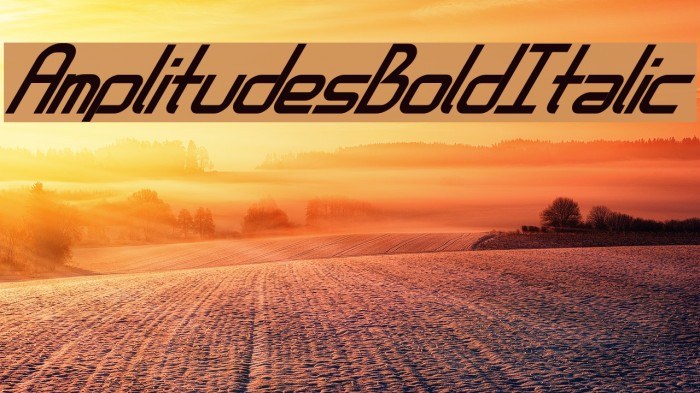 AmplitudesBoldItalic Font examples