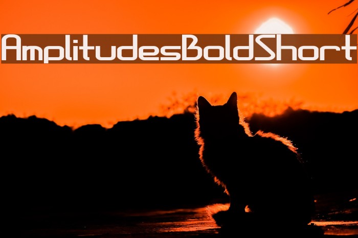 AmplitudesBoldShort Example 1
