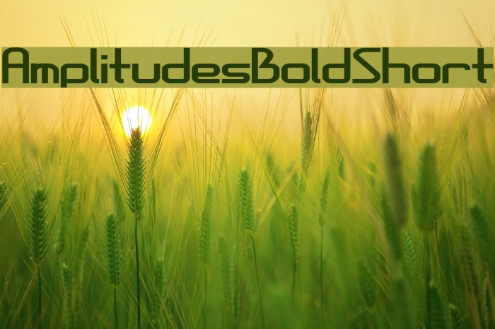 AmplitudesBoldShort Example 2