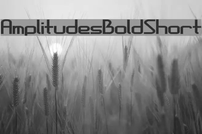 AmplitudesBoldShort Font examples