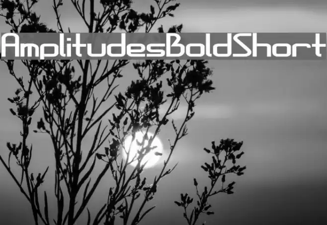 AmplitudesBoldShort Font examples
