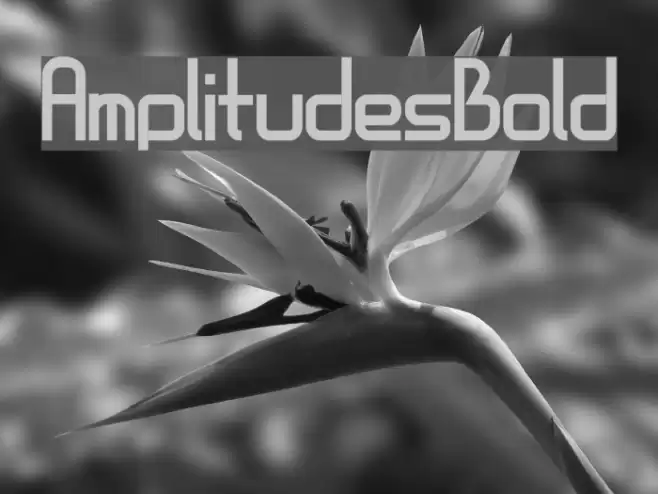 AmplitudesBold Font examples