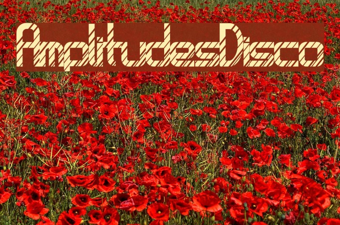 AmplitudesDisco Example 3