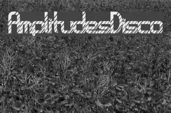 AmplitudesDisco Font examples