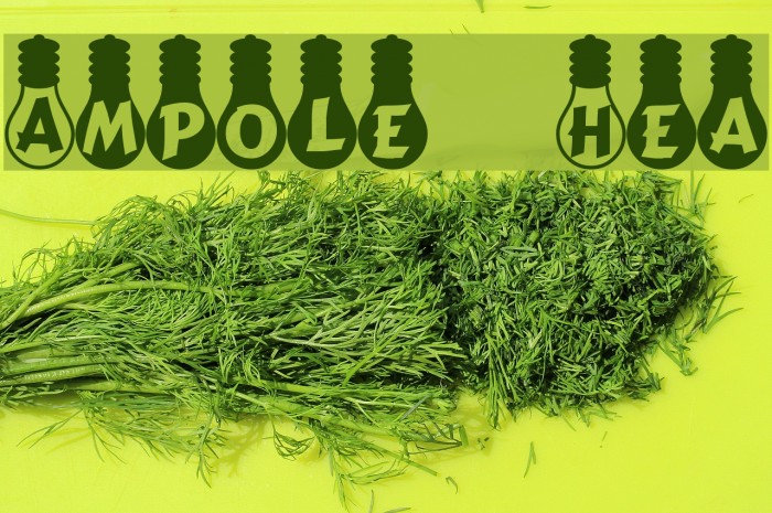 Ampoule Heavy Font examples